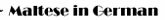 William Maltese . com: Maltese in German